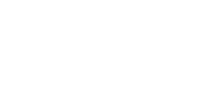 Meta Business Partner